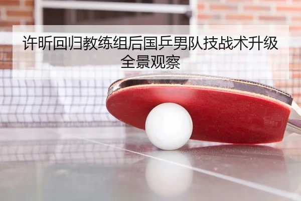 许昕回归教练组后国乒男队技战术升级全景观察