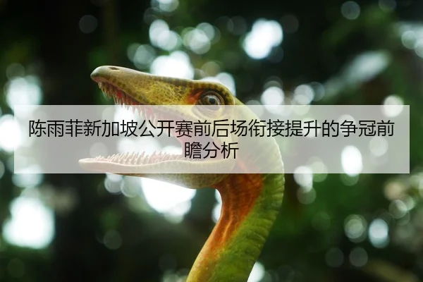 陈雨菲新加坡公开赛前后场衔接提升的争冠前瞻分析